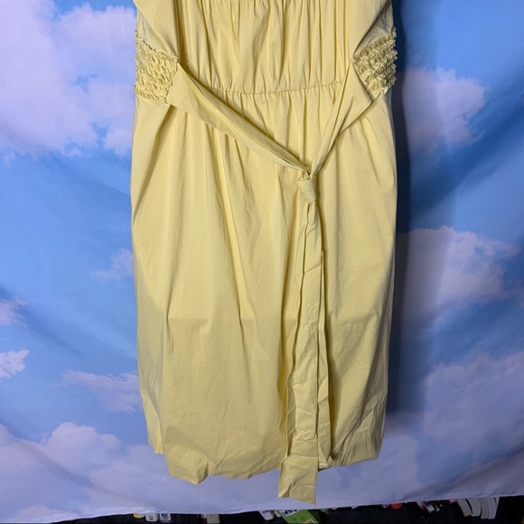 BCBGMaxazria- Yellow Ruffle Sundress size Large - Picture 9 of 13